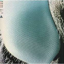 Boom Boom Satellites : Fogbound